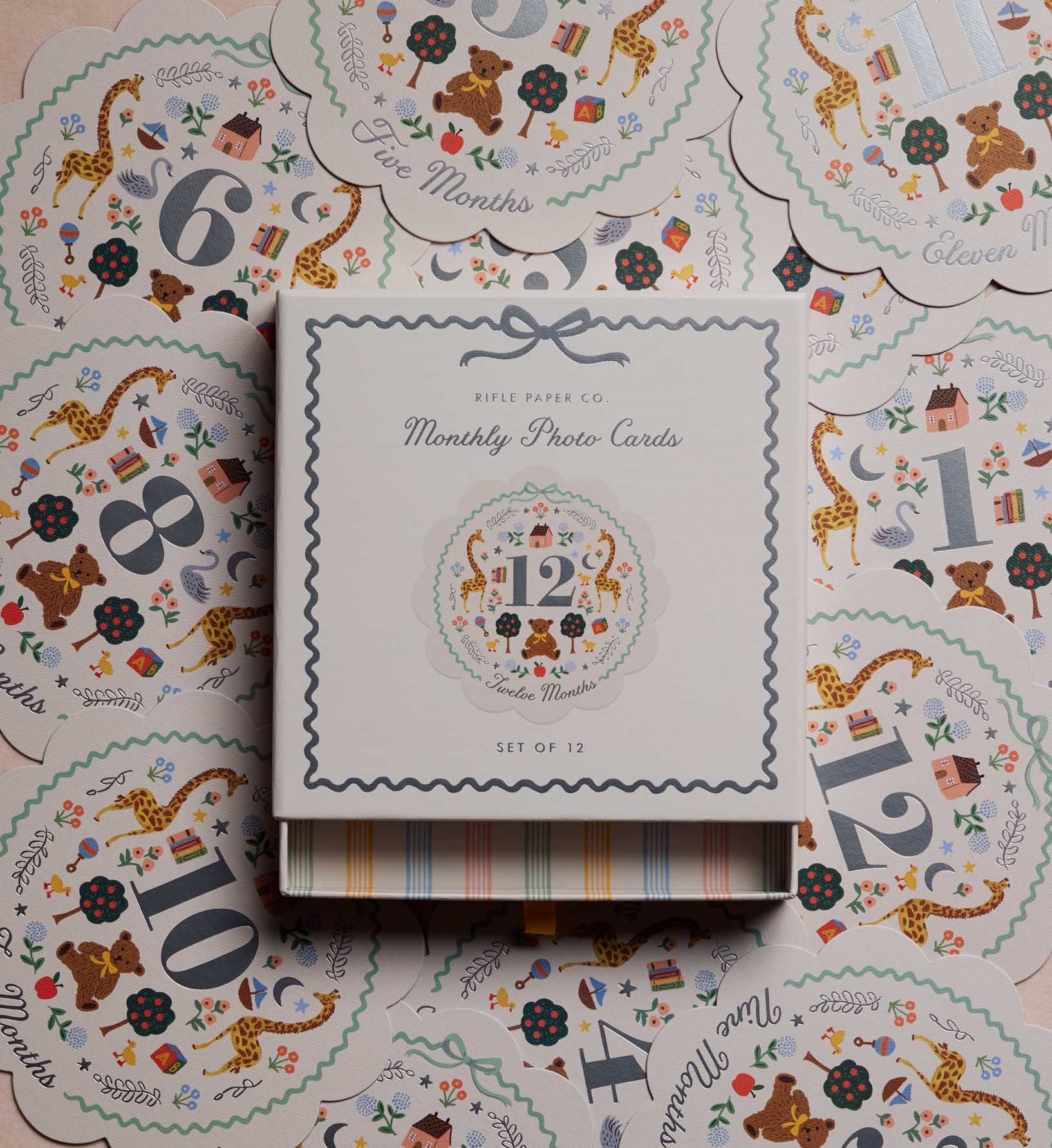Milestone Cards - Storybook