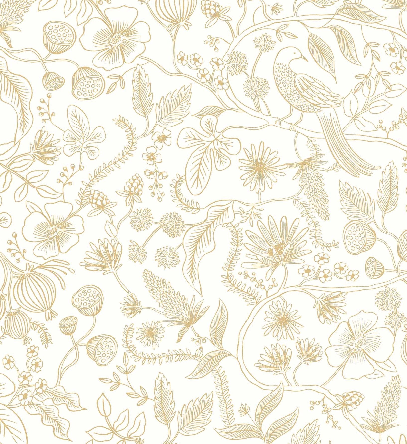 Aviary Peel & Stick Wallpaper - Metallic Gold & Cream