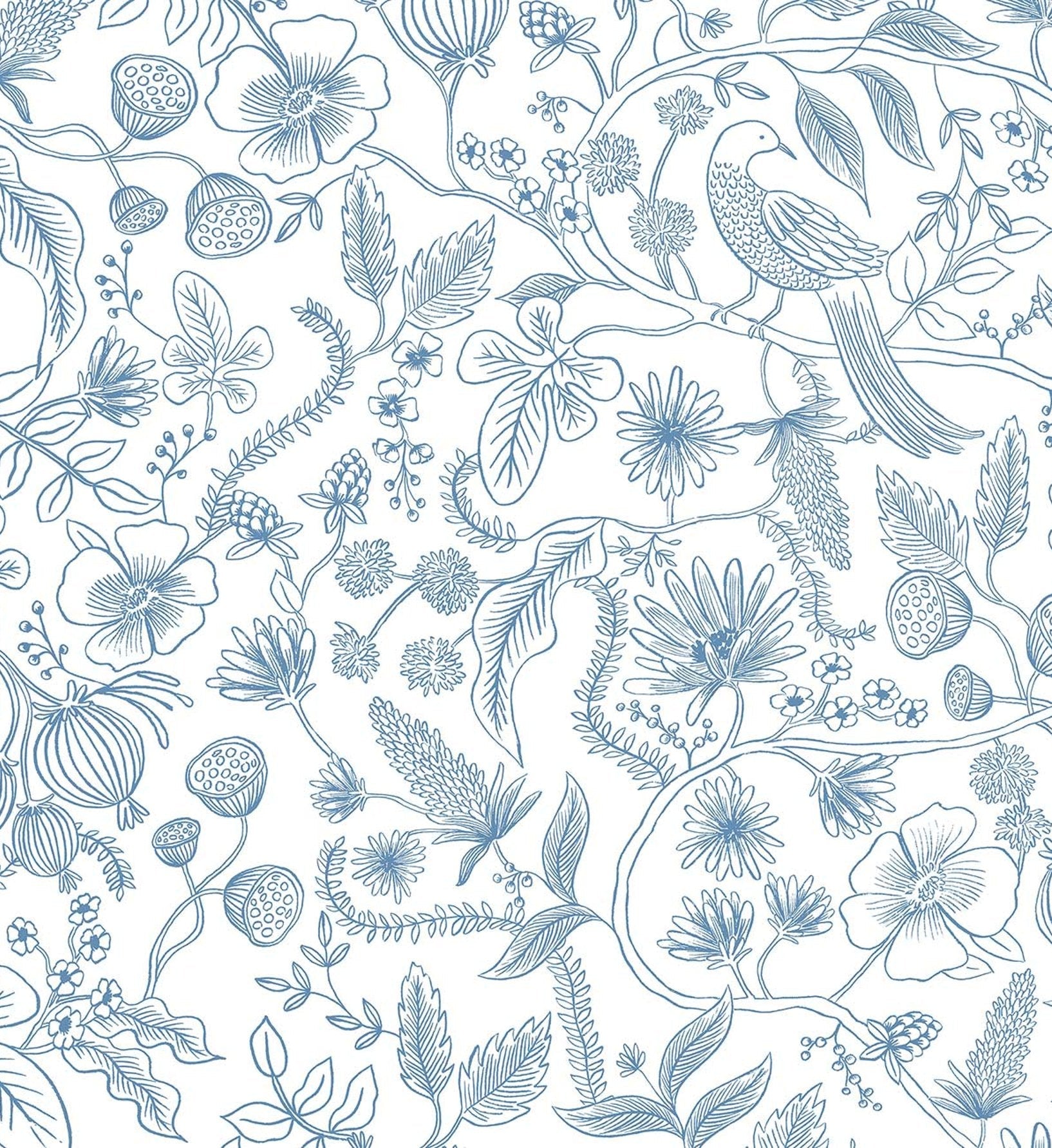 Aviary Peel & Stick Wallpaper - Blue & Cream