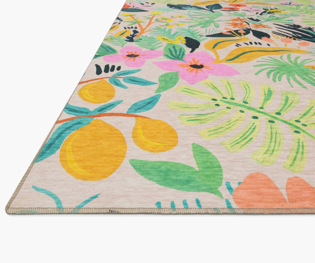 Veranda Terracotta Indoor/Outdoor Rug - Cream