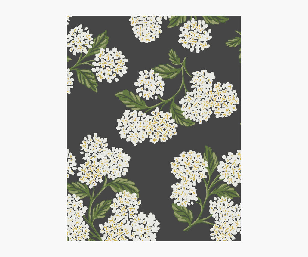 Hydrangea Wallpaper Sample - Black & White