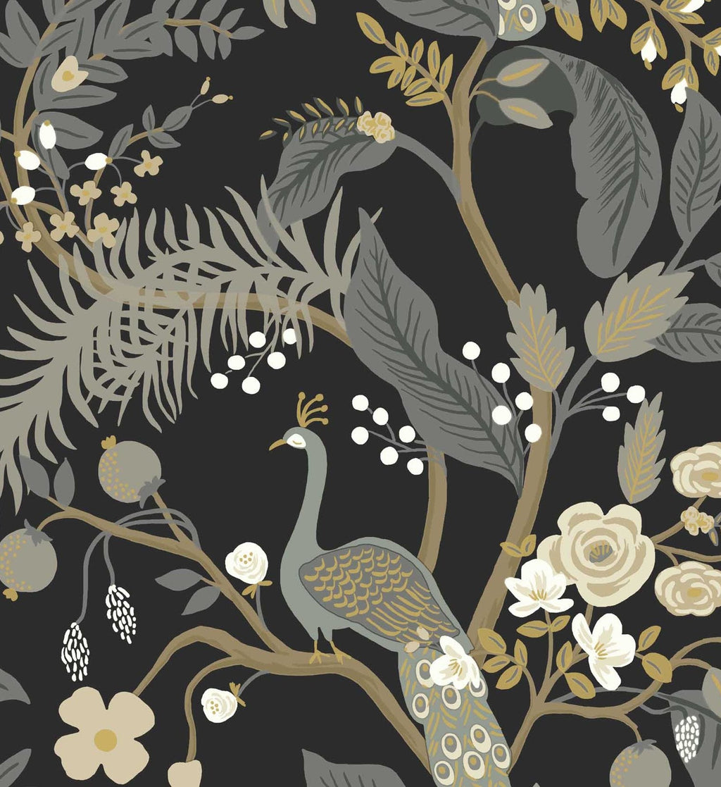 Peacock Wallpaper - Black