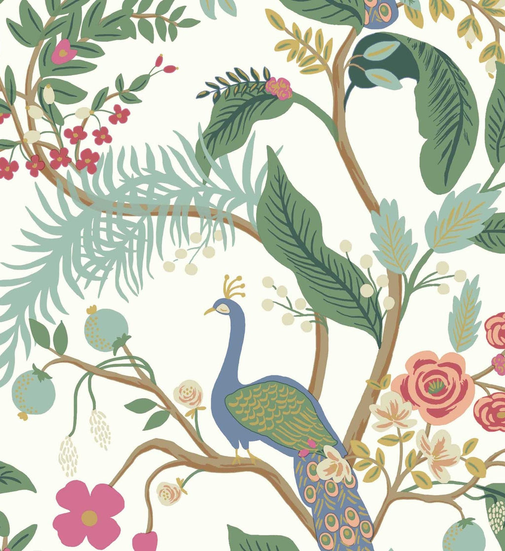 Peacock Wallpaper - Rouge
