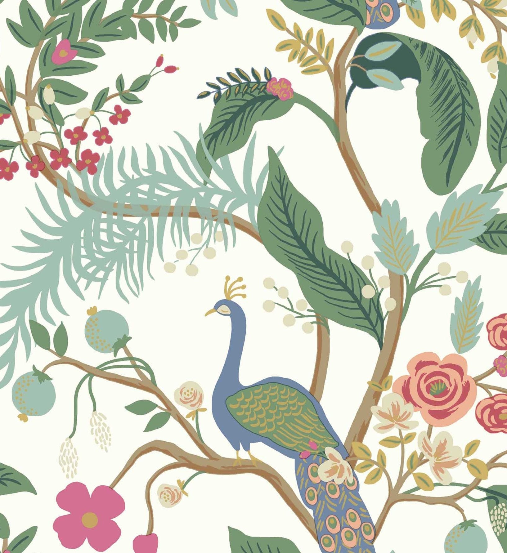Peacock Wallpaper - Rouge