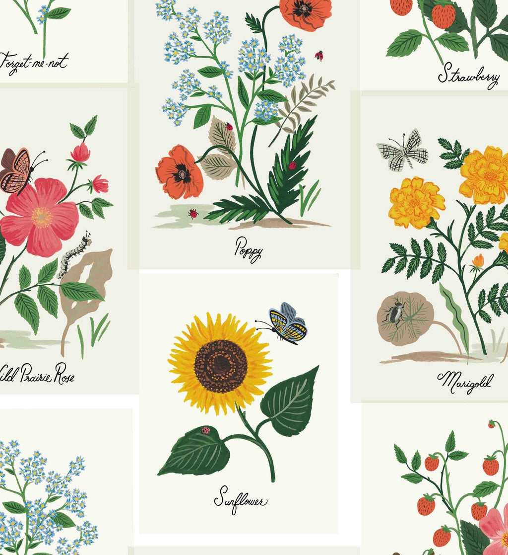 Botanical Prints Wallpaper - White