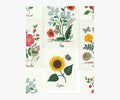 Botanical Prints Wallpaper Sample - White