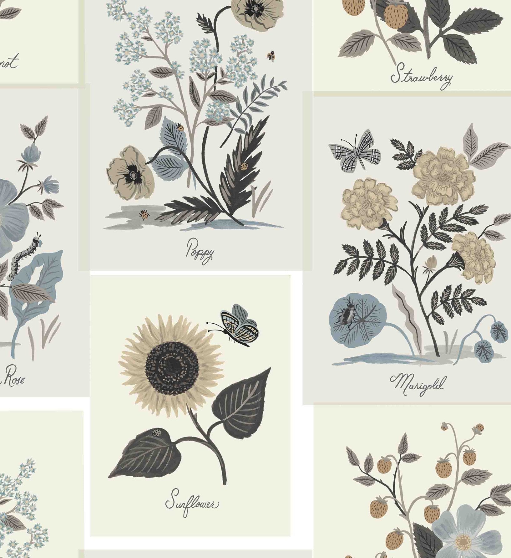 Botanical Prints Wallpaper - Linen