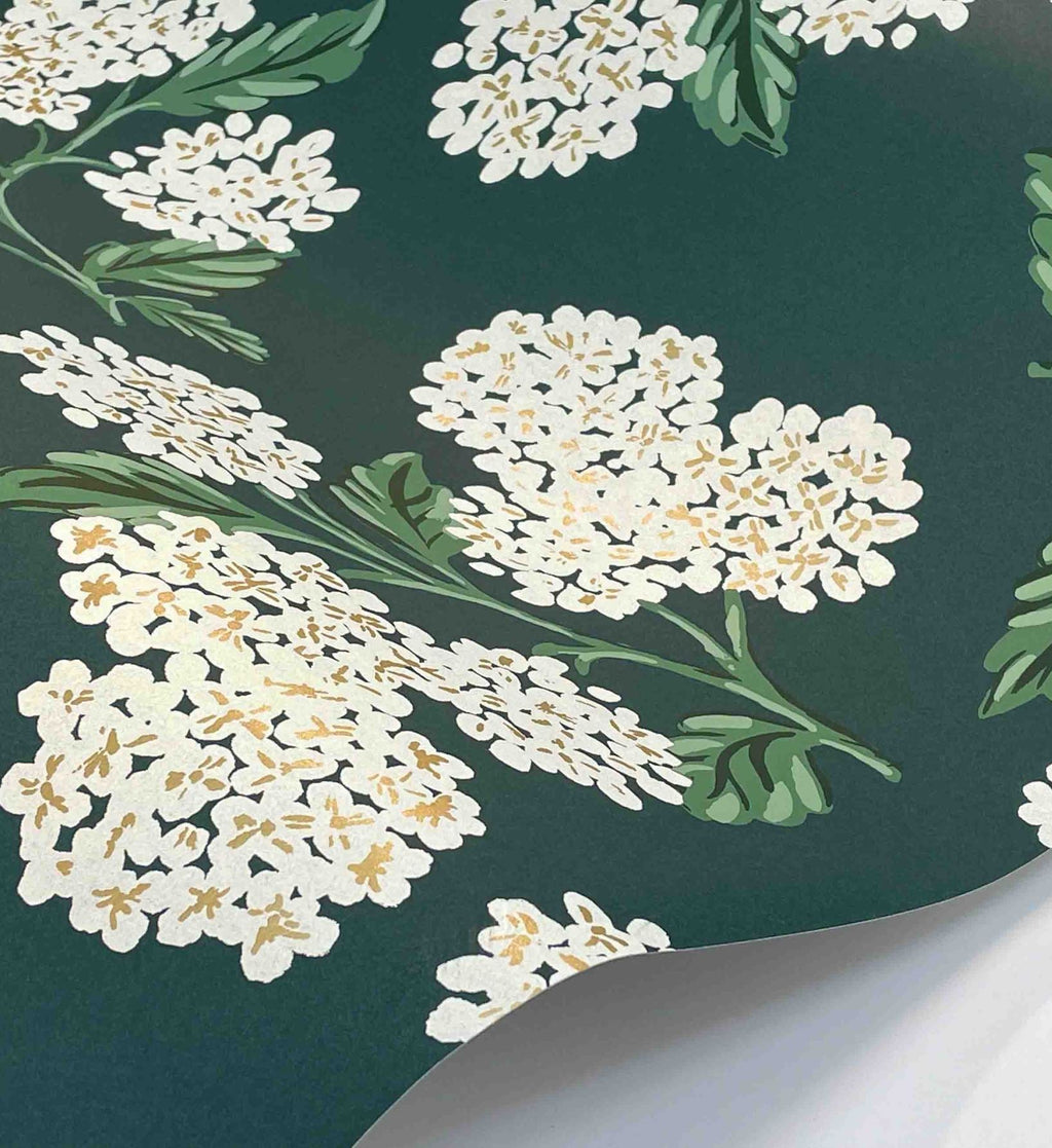 Hydrangea Wallpaper - Teal