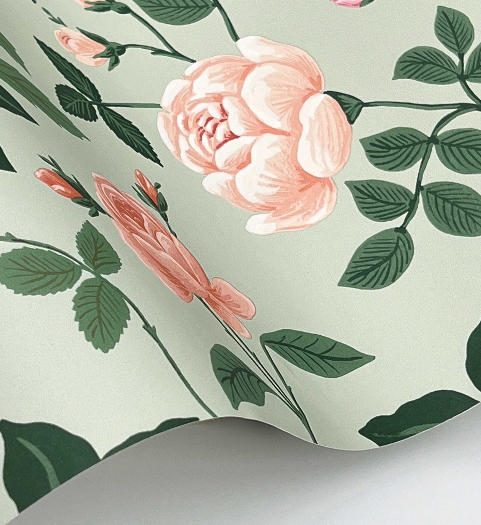 Roses Wallpaper - Mint