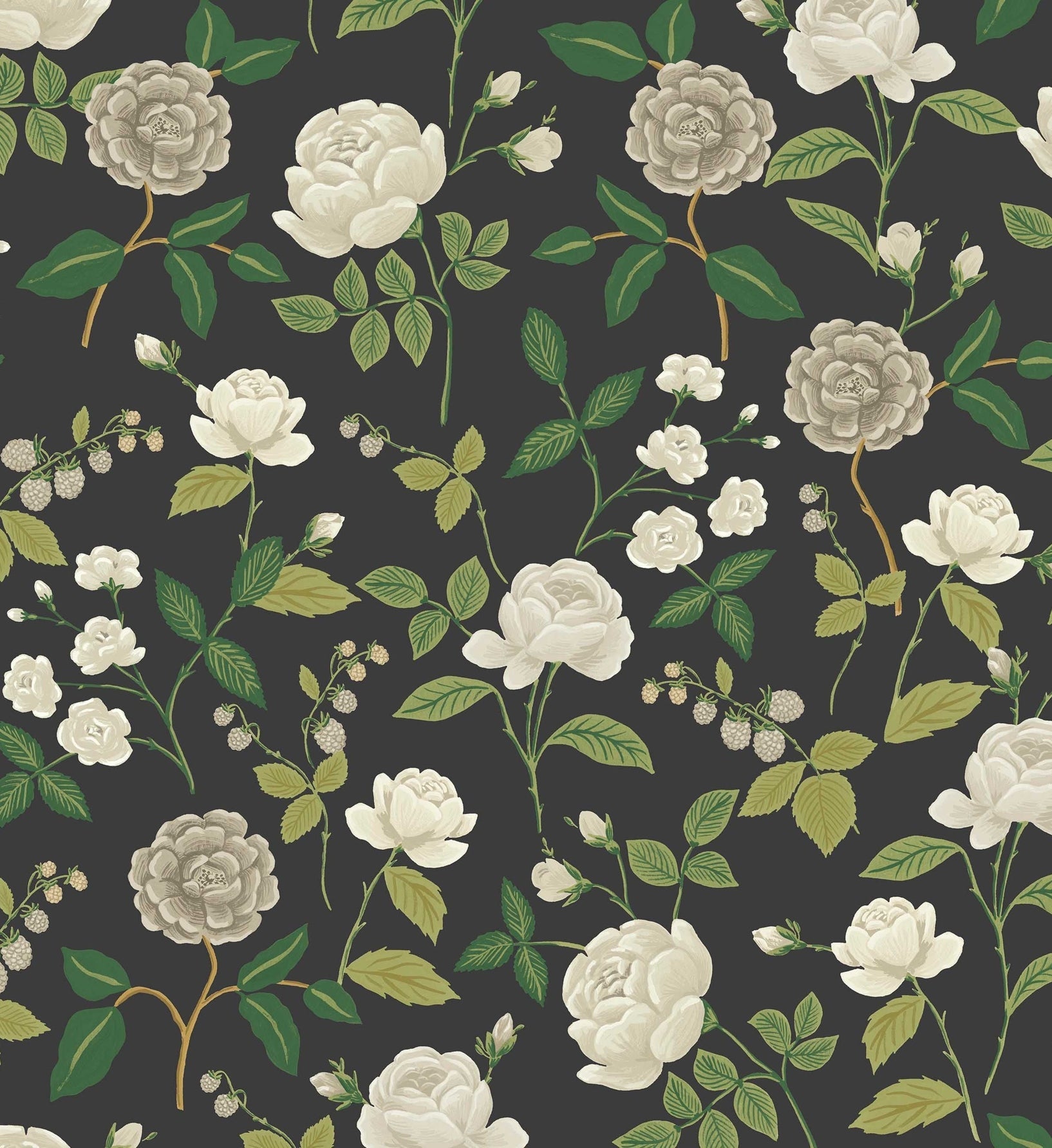 Roses Wallpaper - Black