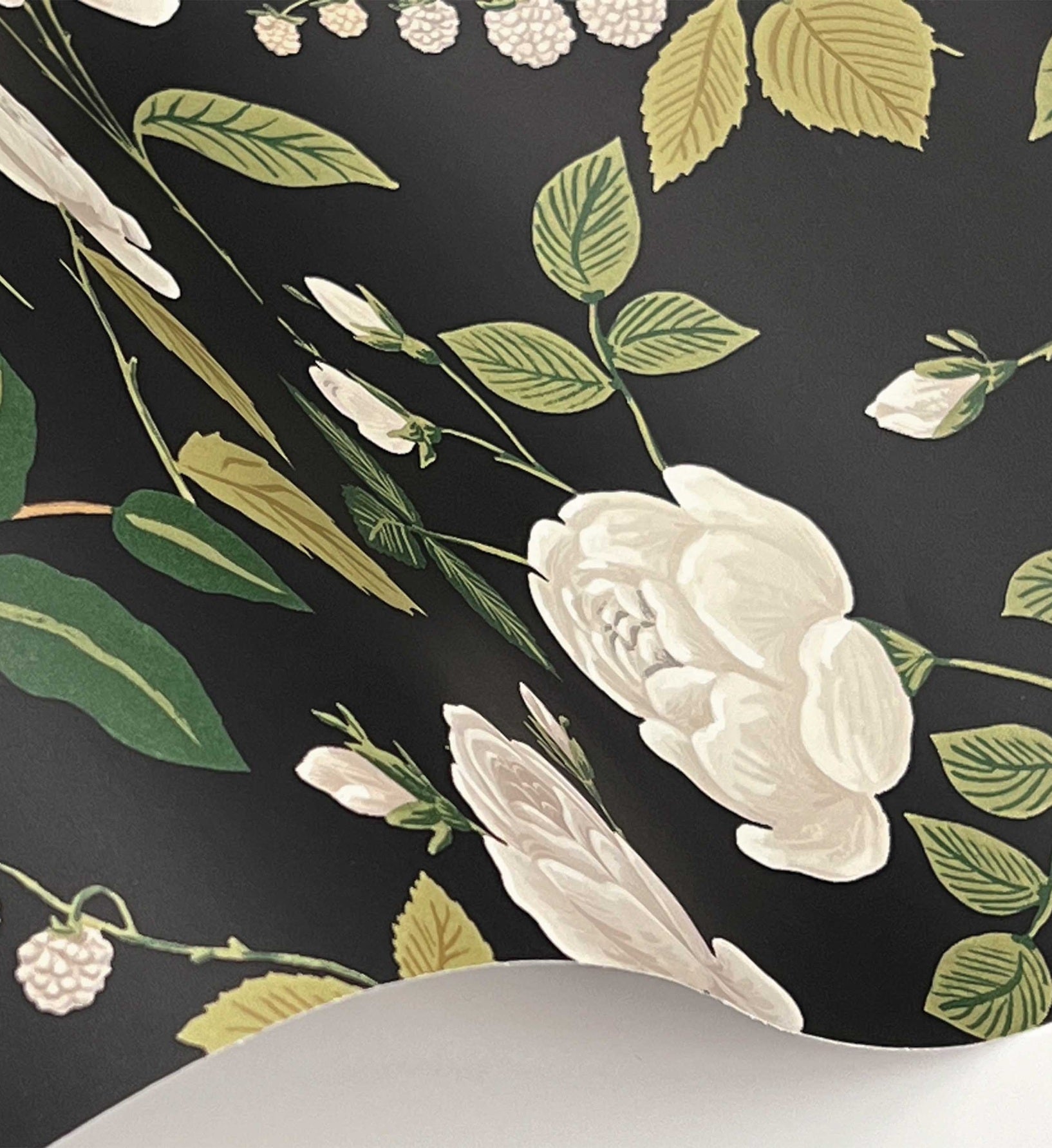 Roses Wallpaper - Black
