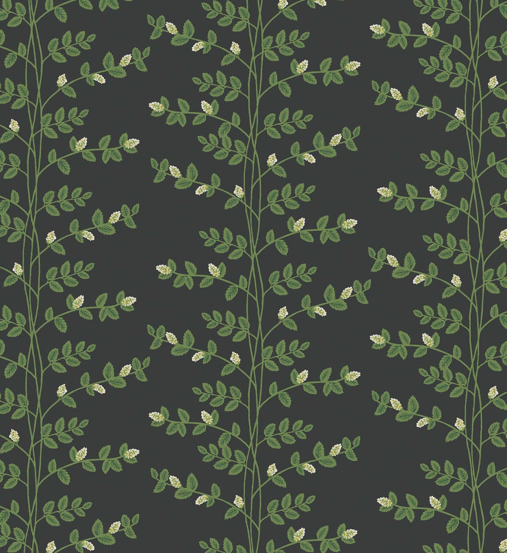 Climbing Vines Wallpaper - Black