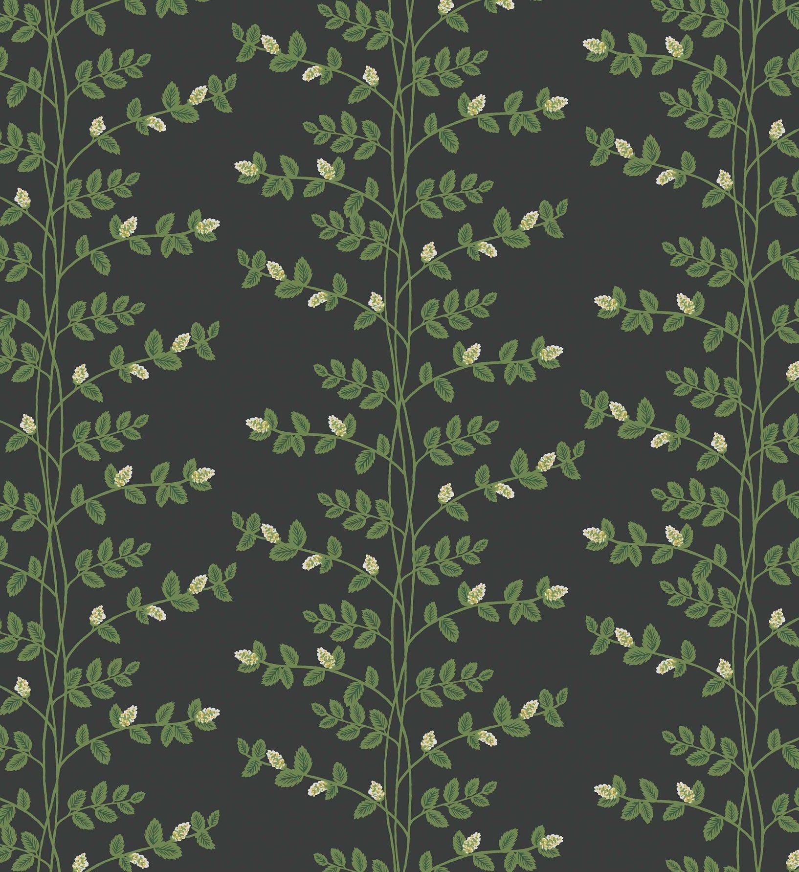 Climbing Vines Wallpaper - Black