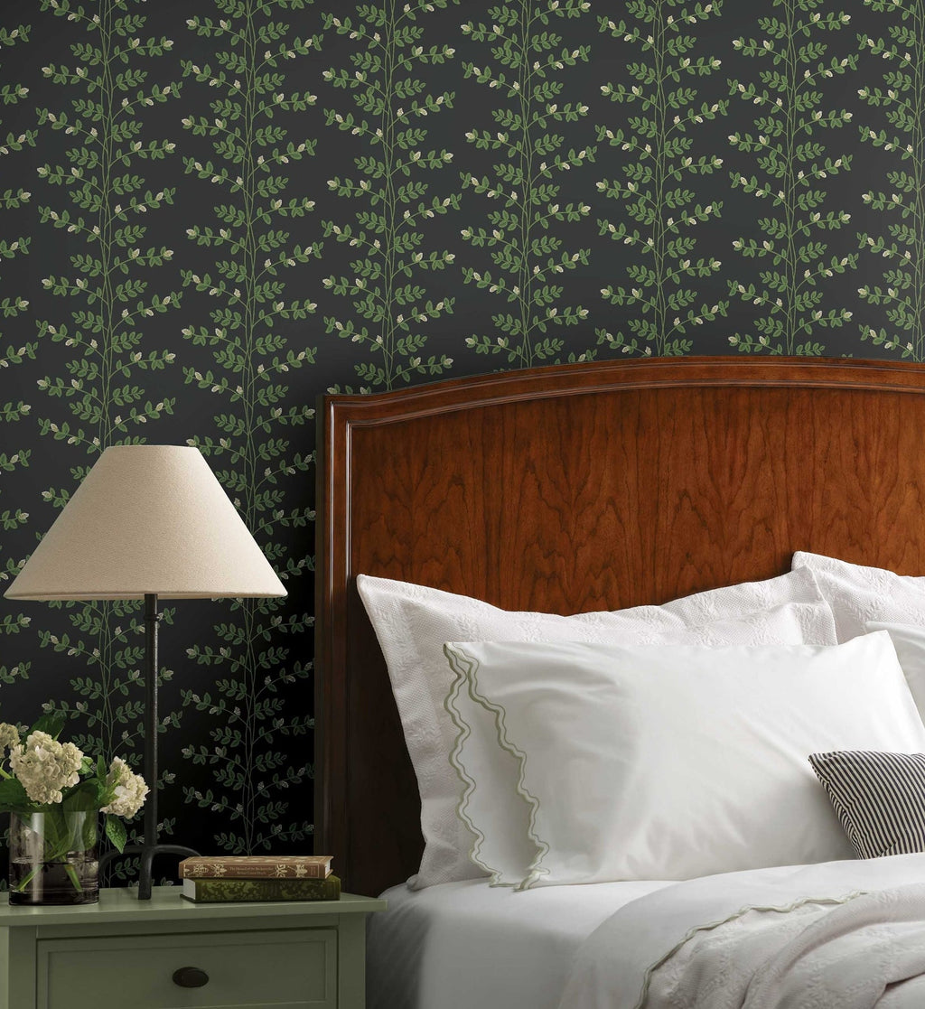 Climbing Vines Wallpaper - Black