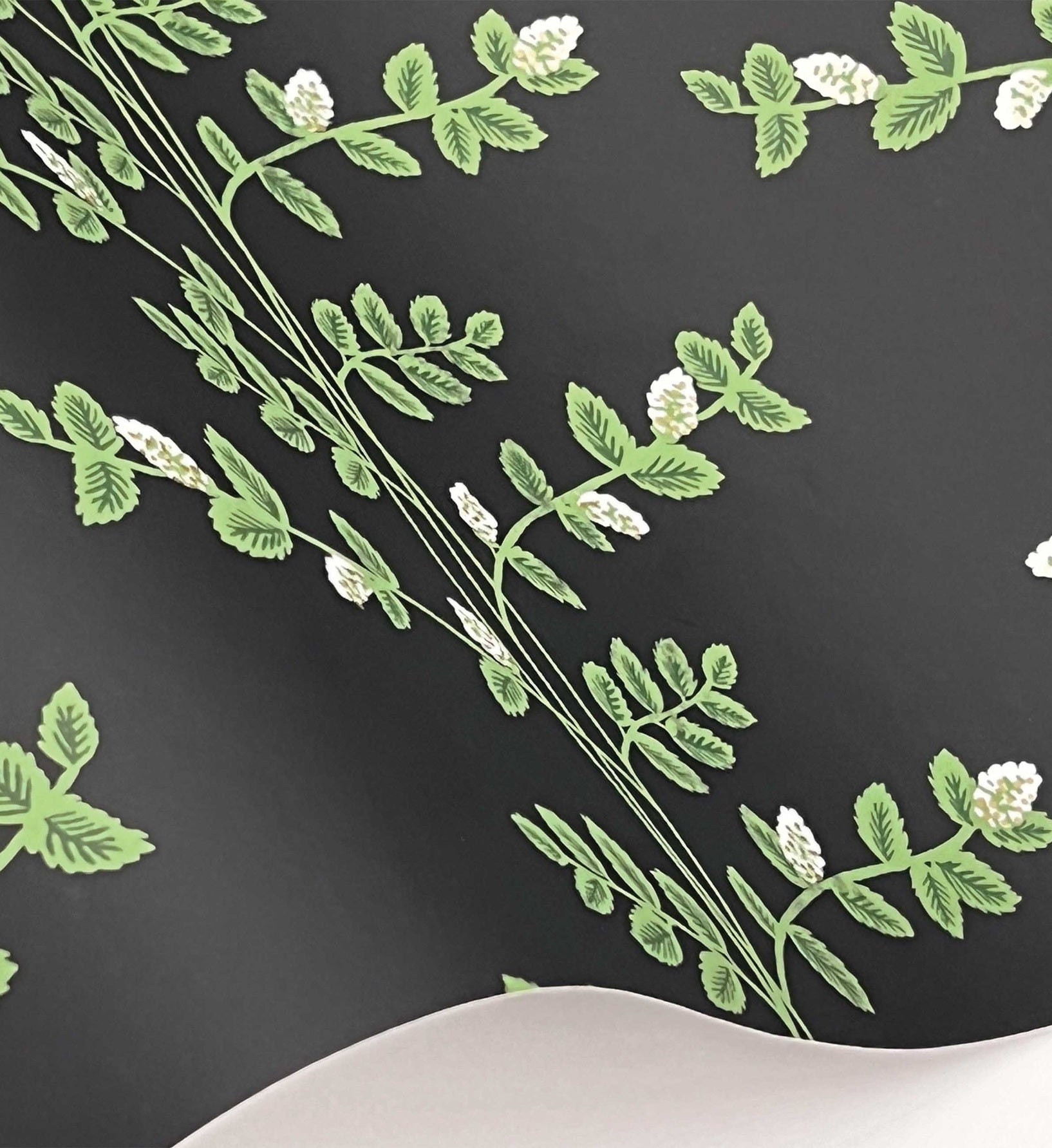 Climbing Vines Wallpaper - Black
