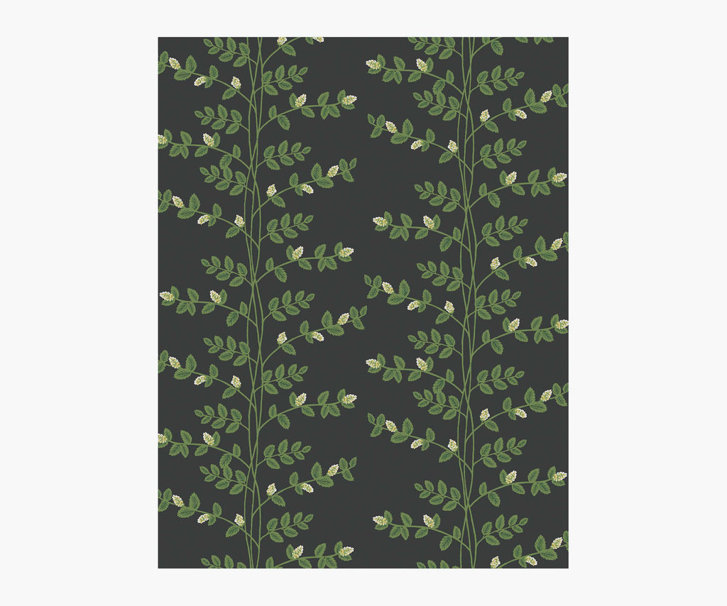 Climbing Vines Wallpaper Sample - Black