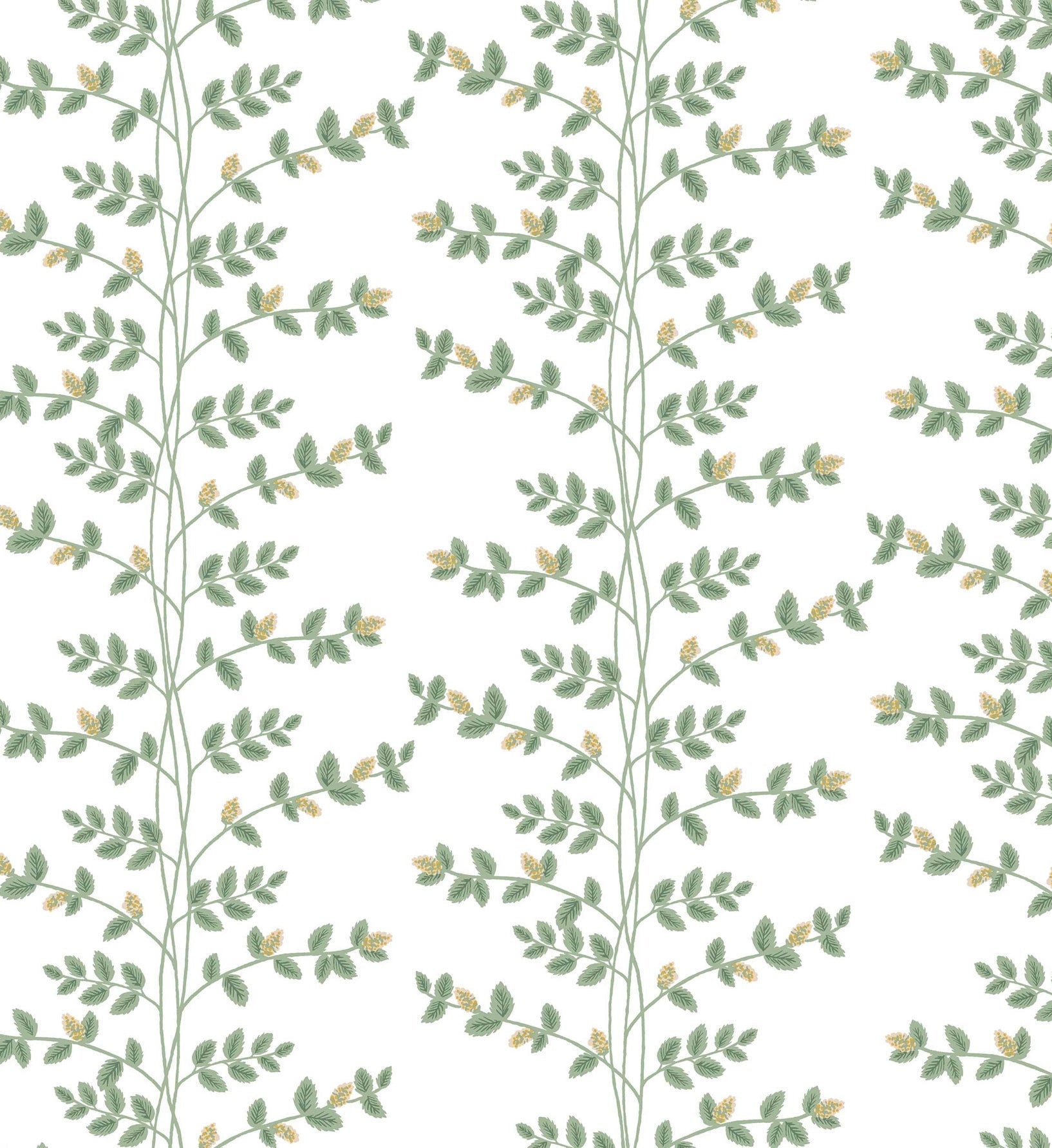 Climbing Vines Wallpaper - White & Metallic Gold