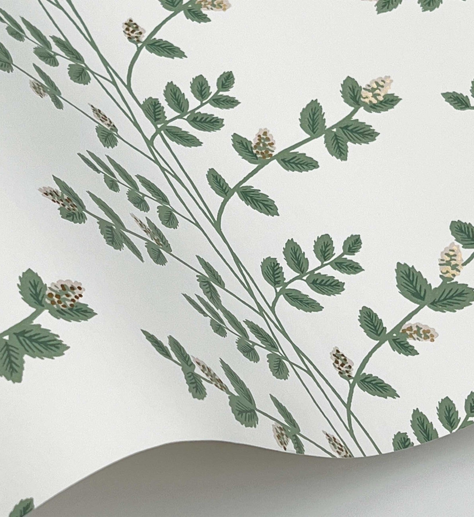 Climbing Vines Wallpaper - White & Metallic Gold