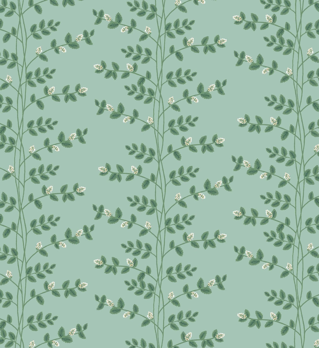 Climbing Vines Wallpaper - Teal