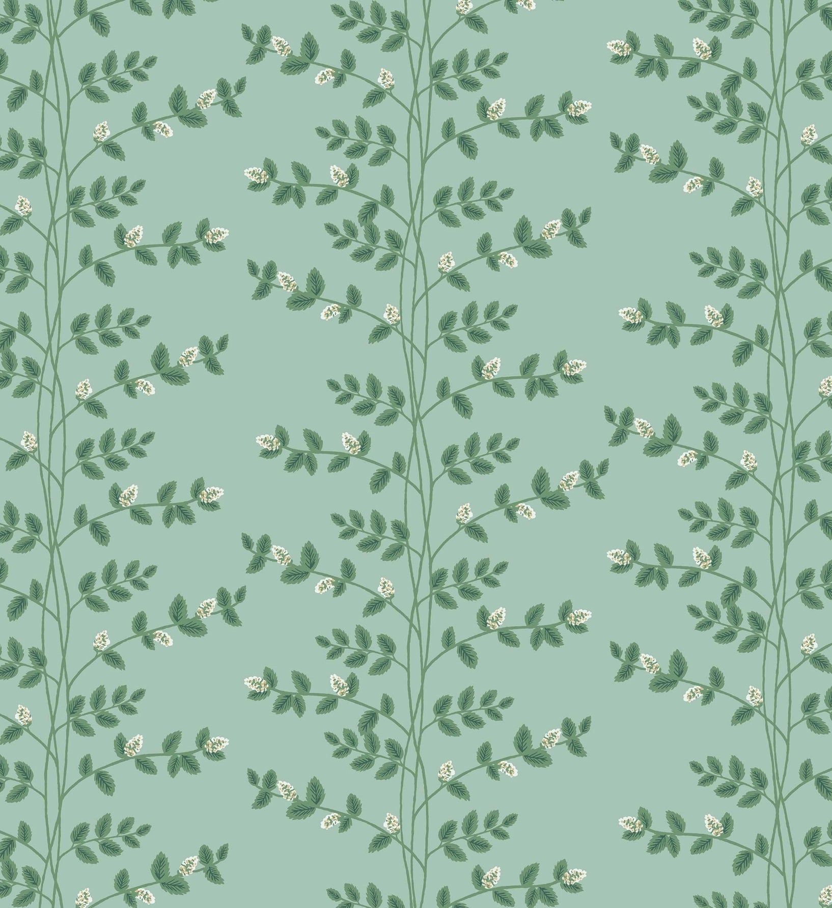 Climbing Vines Wallpaper - Teal