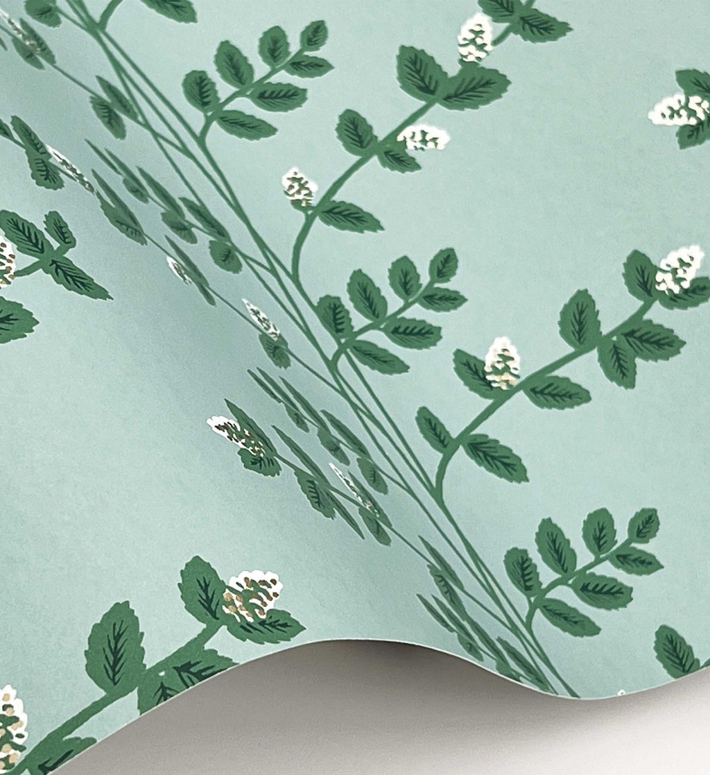 Climbing Vines Wallpaper - Teal