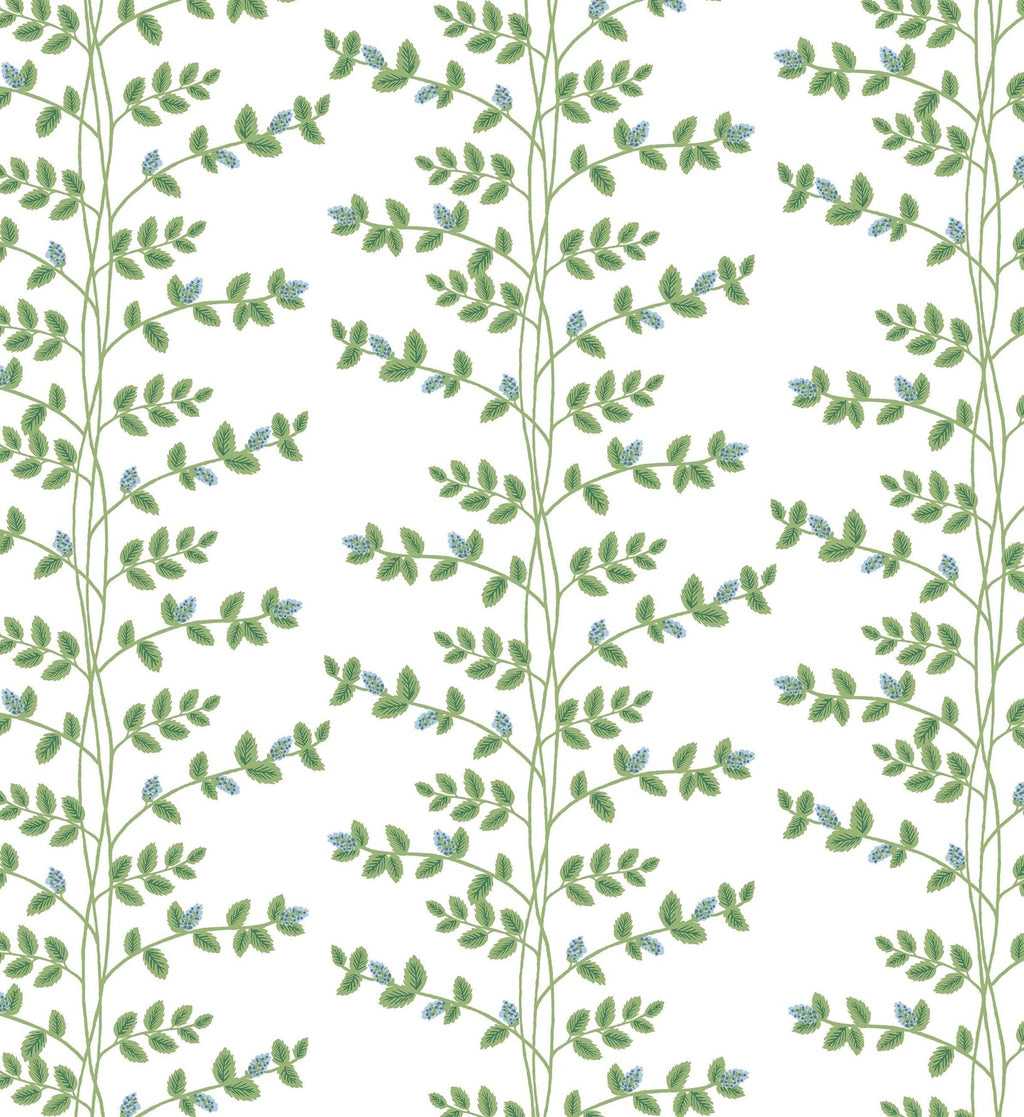 Climbing Vines Wallpaper - White & Blue