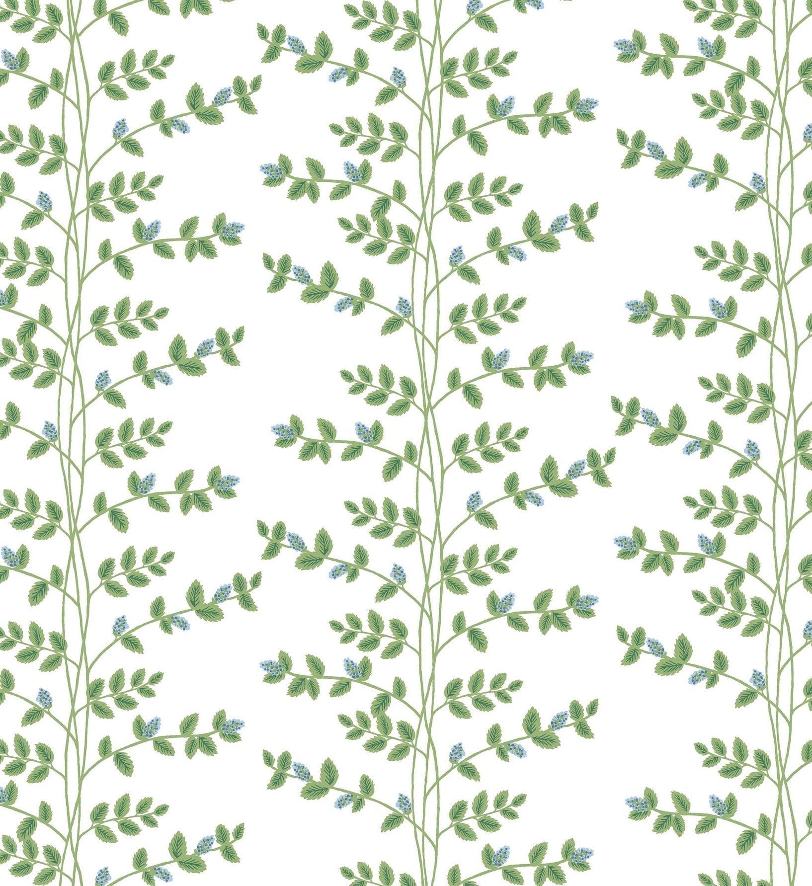 Climbing Vines Wallpaper - White & Blue