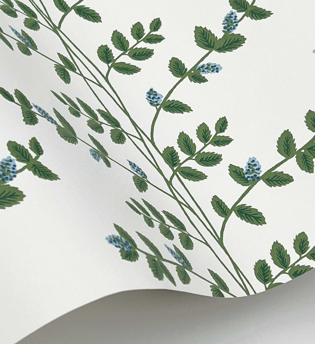 Climbing Vines Wallpaper - White & Blue