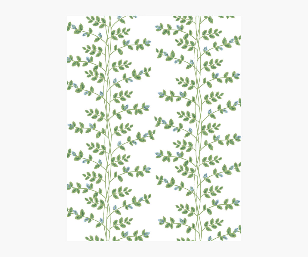 Climbing Vines Wallpaper Sample - White & Blue