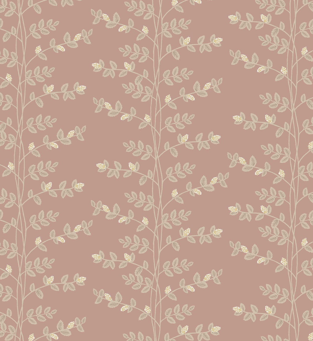 Climbing Vines Wallpaper - Rose
