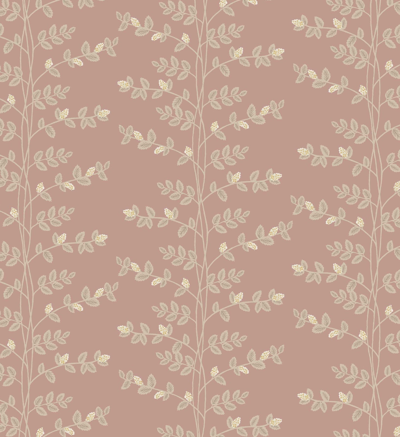 Climbing Vines Wallpaper - Rose