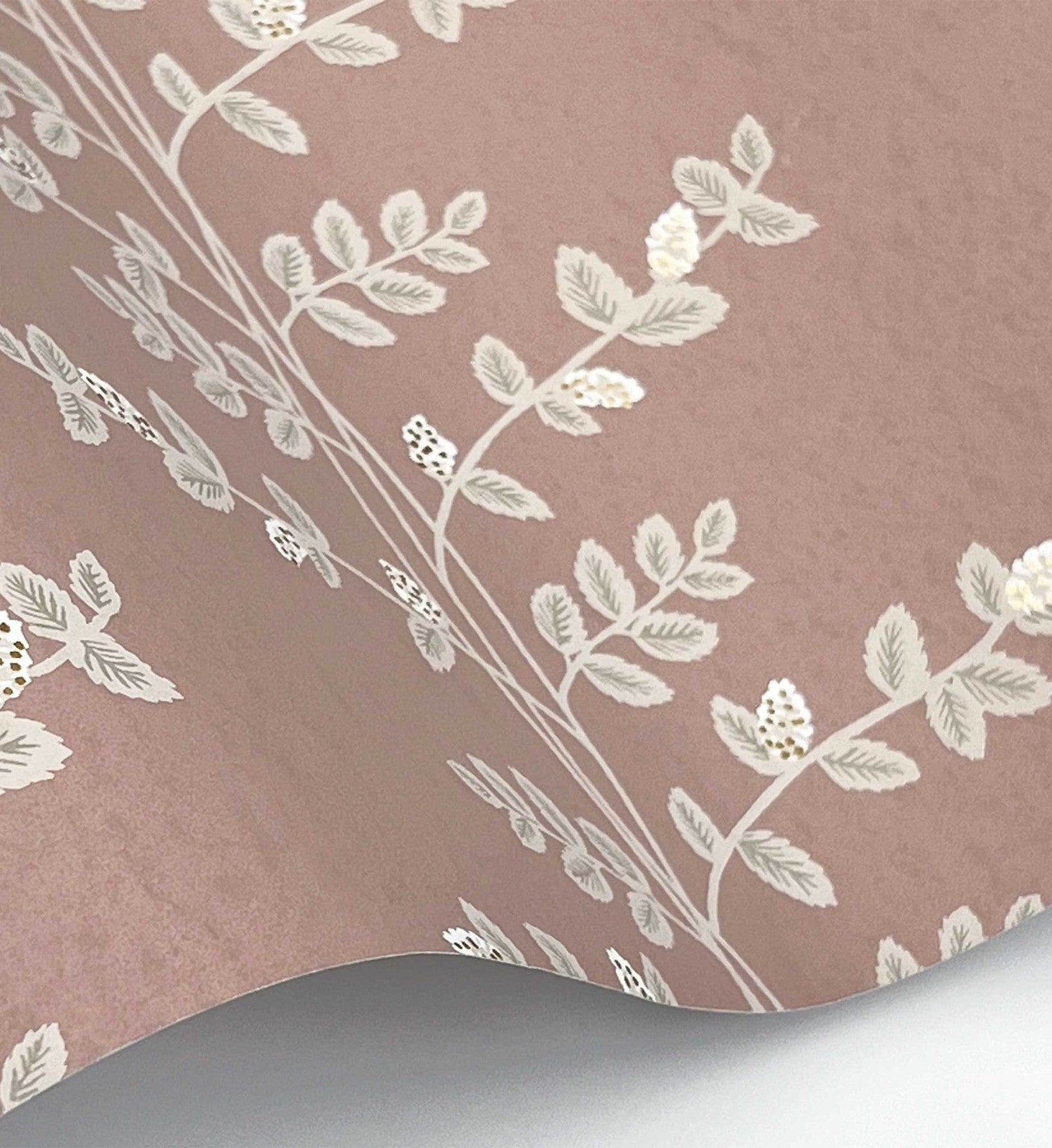 Climbing Vines Wallpaper - Rose