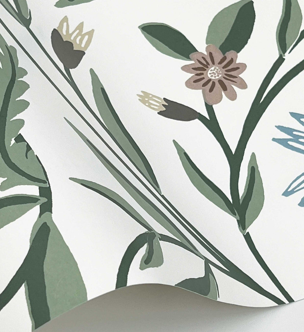 Aster Wallpaper - White
