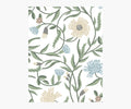 Aster Wallpaper Sample - White