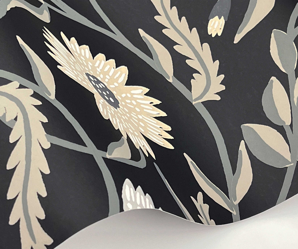 Aster Wallpaper Sample - Black