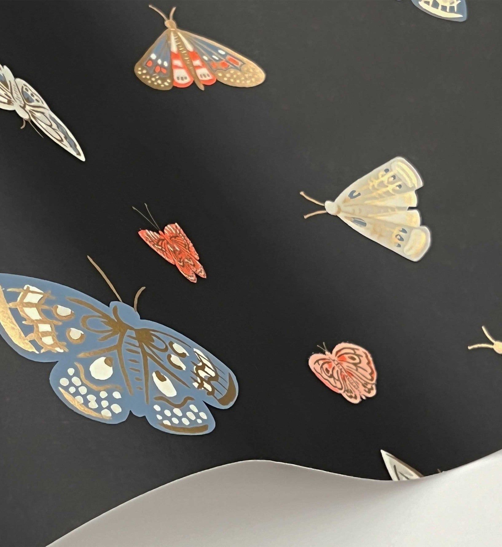 Butterfly House Wallpaper - Black