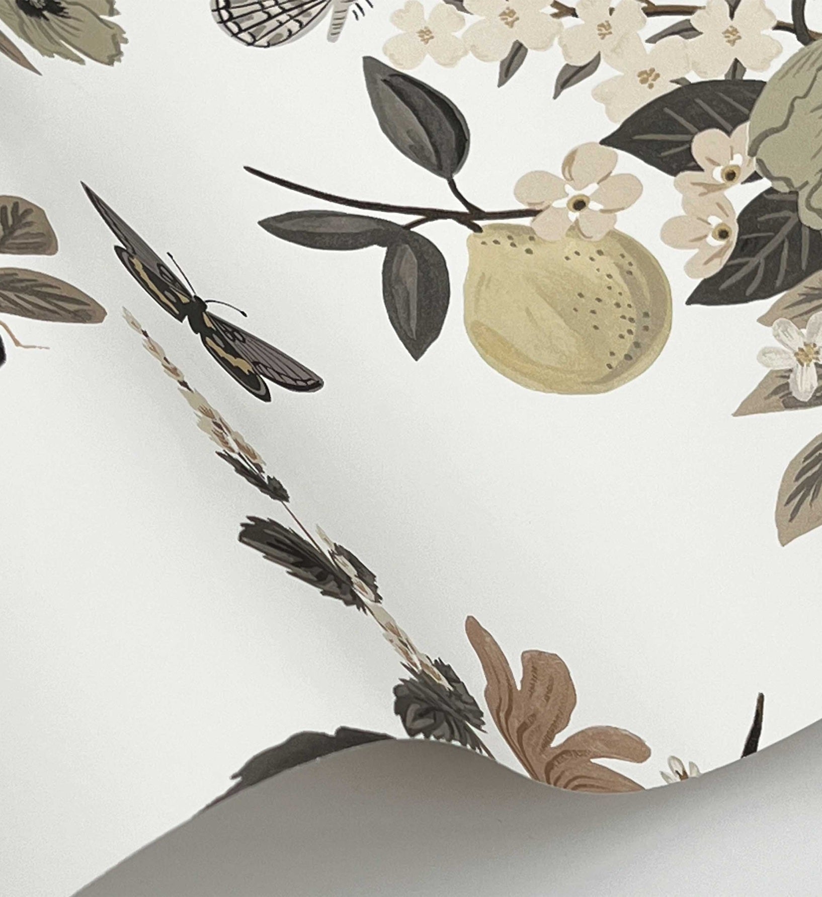Flower Studies Wallpaper - Linen