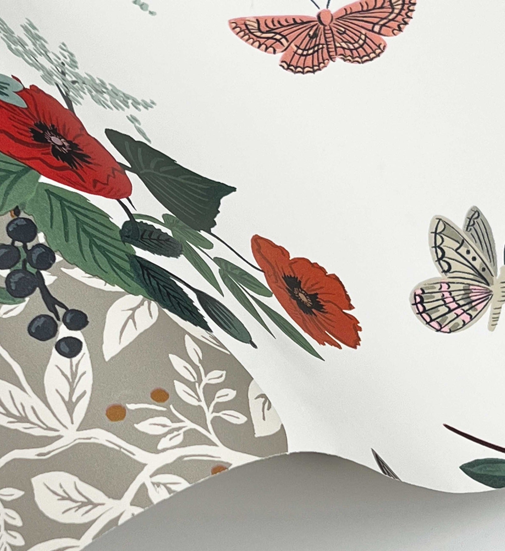 Flower Studies Wallpaper - Rose Multi