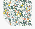 Citrus Grove Peel & Stick Wallpaper - White