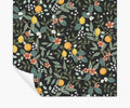 Citrus Grove Peel & Stick Wallpaper - Black